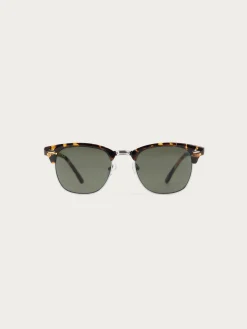 Hombre Alvaro Moreno GAFAS MASTER MARRÓN
