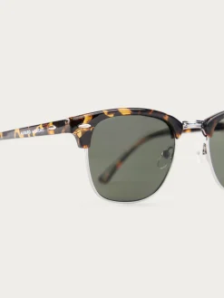 Hombre Alvaro Moreno GAFAS MASTER MARRÓN