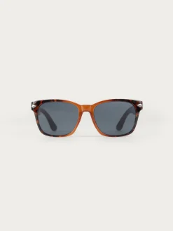 Hombre Alvaro Moreno GAFAS NICK MARRÓN