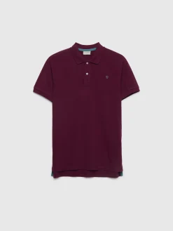 Hombre Alvaro Moreno POLO BASIC